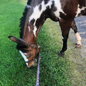 Meet your Posher, Allison